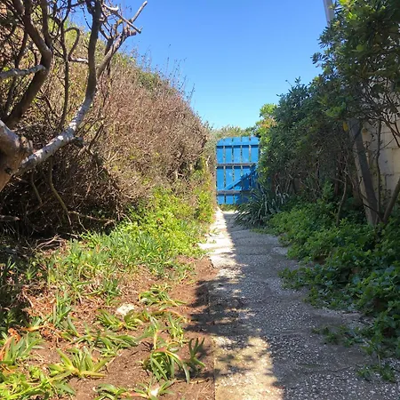 Le Club Des Cigales *