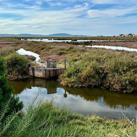 Le Club Des Cigales Lejlighed Hyères