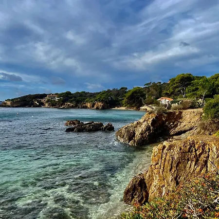 Le Club Des Cigales *