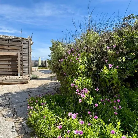 Le Club Des Cigales Appartamento *