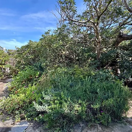 Lejlighed Le Club Des Cigales