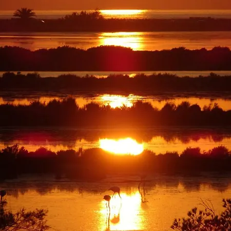 Le Club Des Cigales *