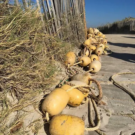 Apartamento Le Club Des Cigales *