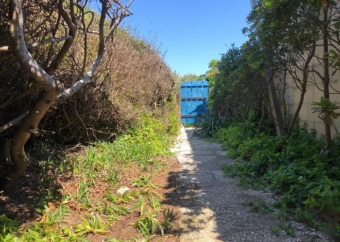 Le Club Des Cigales *