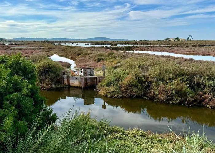 Le Club Des Cigales Apartman Hyères