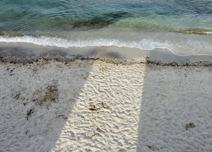 Le Club Des Cigales *