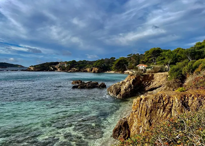 Le Club Des Cigales *