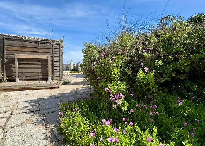 Le Club Des Cigales Apartman *