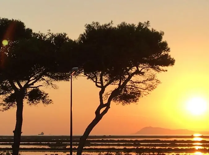 Le Club Des Cigales *