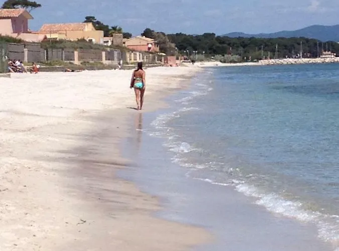 Le Club Des Cigales *