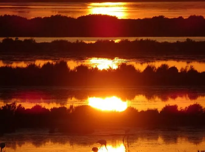 Le Club Des Cigales *