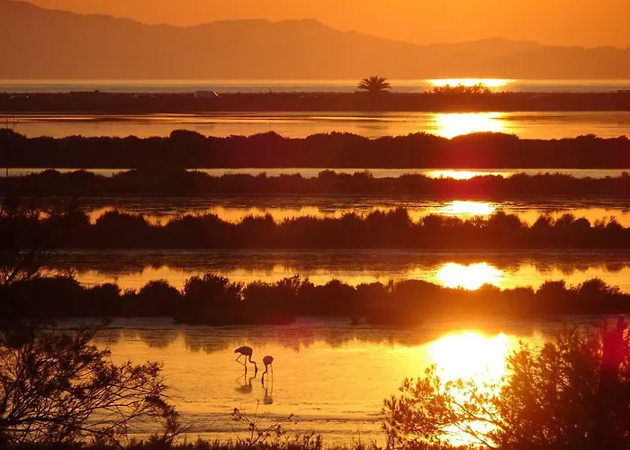 Le Club Des Cigales Hyères