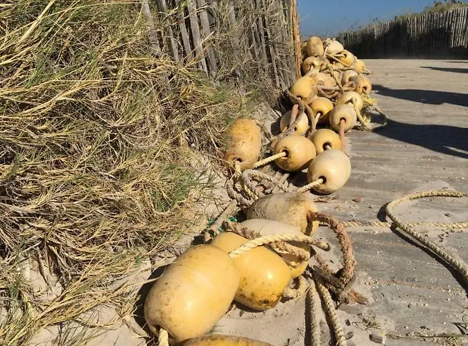 Apartman Le Club Des Cigales *